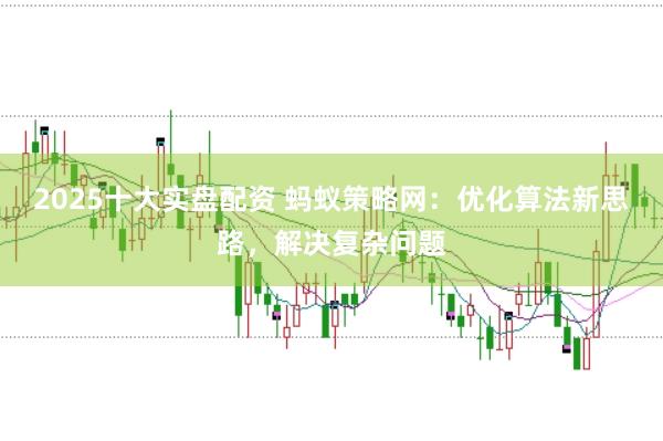 2025十大实盘配资 蚂蚁策略网：优化算法新思路，解决复杂问题