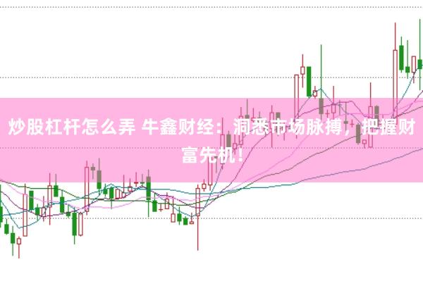 炒股杠杆怎么弄 牛鑫财经：洞悉市场脉搏，把握财富先机！