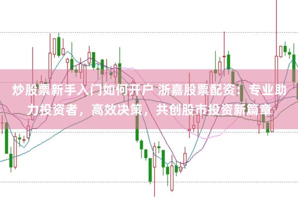 炒股票新手入门如何开户 浙嘉股票配资：专业助力投资者，高效决策，共创股市投资新篇章
