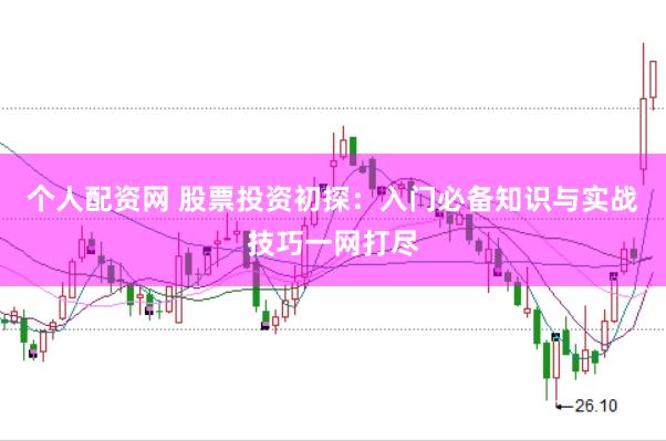 个人配资网 股票投资初探：入门必备知识与实战技巧一网打尽