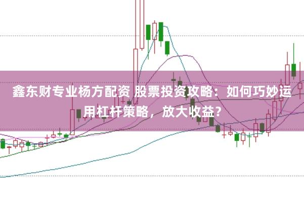 鑫东财专业杨方配资 股票投资攻略：如何巧妙运用杠杆策略，放大收益？