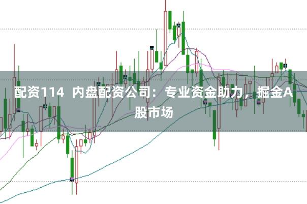 配资114  内盘配资公司：专业资金助力，掘金A股市场