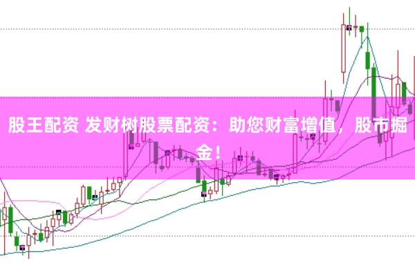 股王配资 发财树股票配资：助您财富增值，股市掘金！