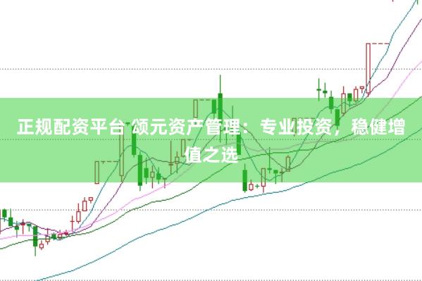 正规配资平台 颂元资产管理：专业投资，稳健增值之选