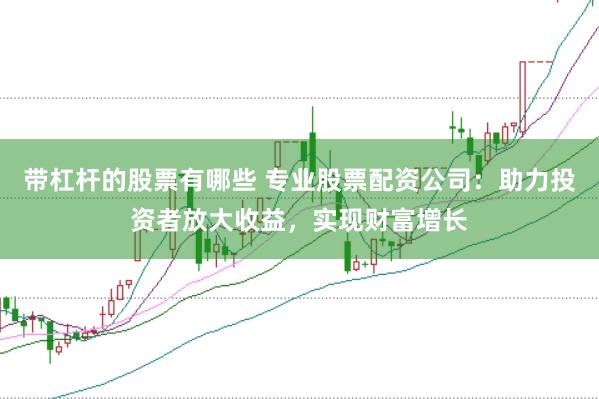 带杠杆的股票有哪些 专业股票配资公司：助力投资者放大收益，实现财富增长