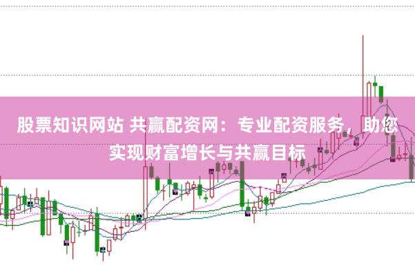 股票知识网站 共赢配资网：专业配资服务，助您实现财富增长与共赢目标