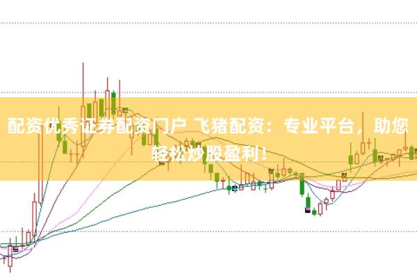 配资优秀证券配资门户 飞猪配资：专业平台，助您轻松炒股盈利！
