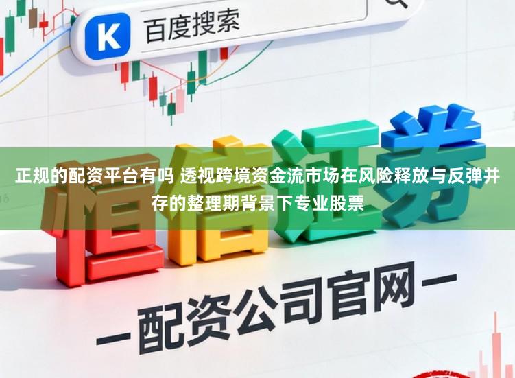 正规的配资平台有吗 透视跨境资金流市场在风险释放与反弹并存的整理期背景下专业股票